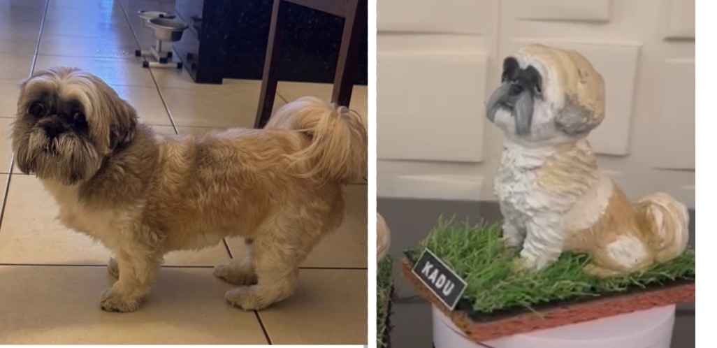 Foto de Kadu, à esquerda, e miniatura com base de grama e identificação Kadu, à direita.