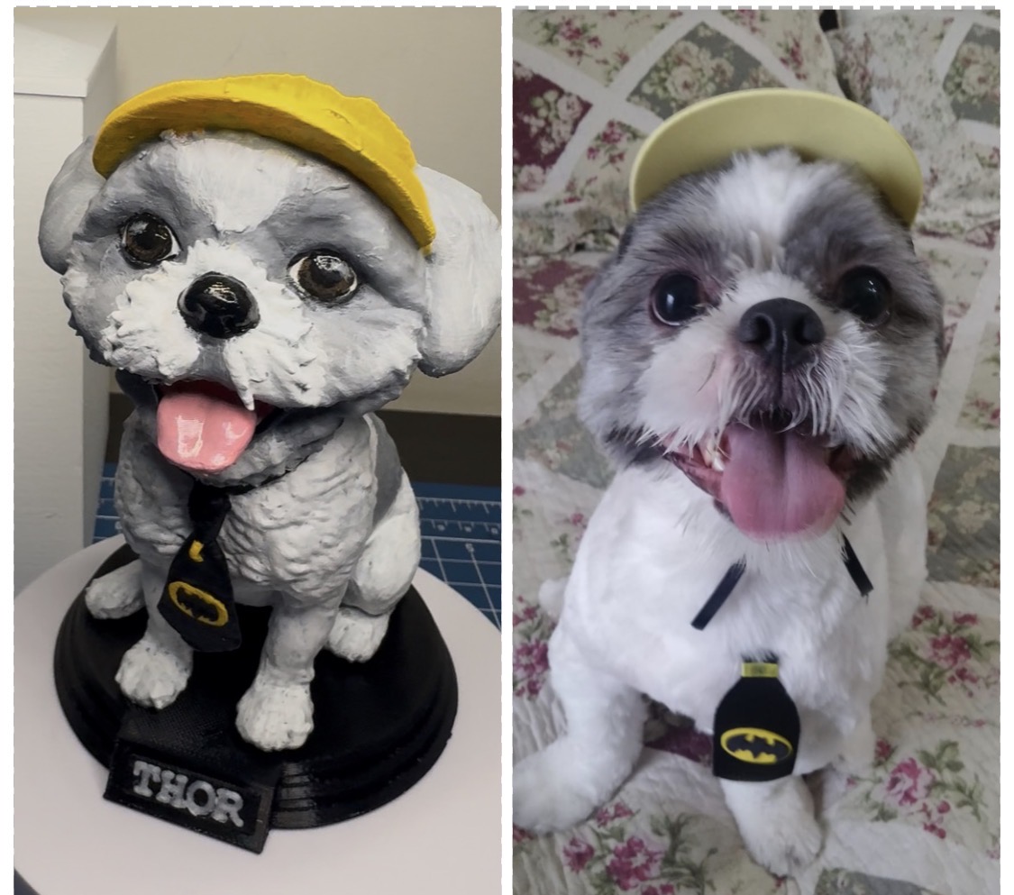 Miniatura de Thor com boné amarelo e gravata do Batman, à esquerda, e foto do pet, à direita.